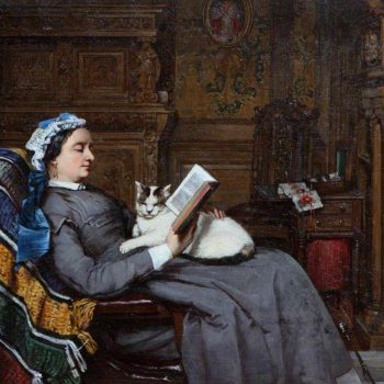 patrunjelul_pisicilor_29_ianuarie_17