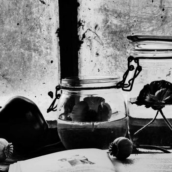 intamplari_la_cenaclu_13_martie_17