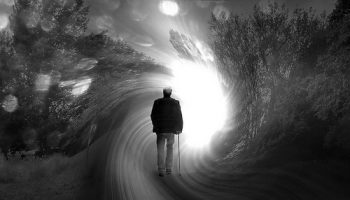 viata-end