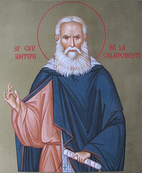 antipacalapodesti350