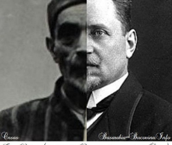 ion-pelivan