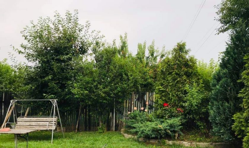 Gradina
