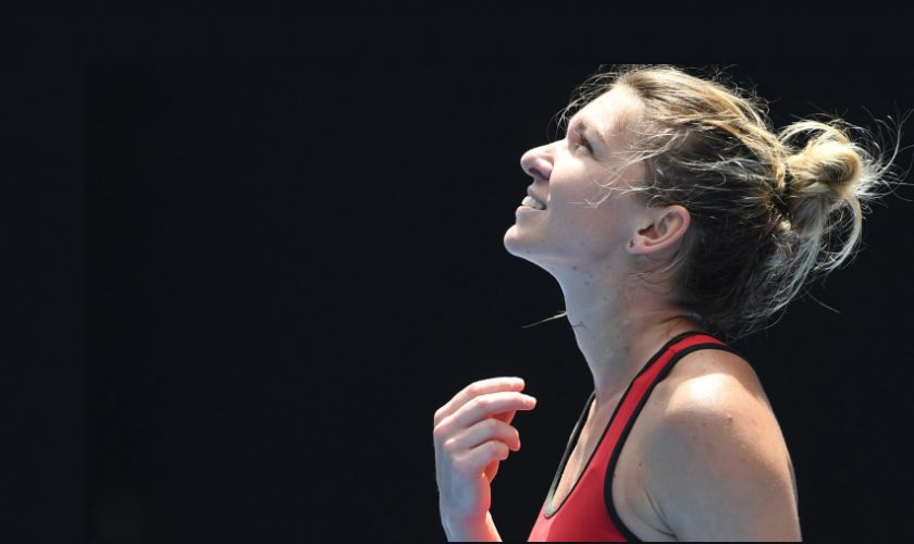 Halep3