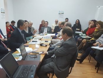 Foto1