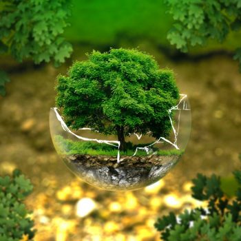 ecologie