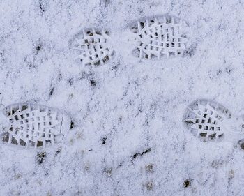 snow2