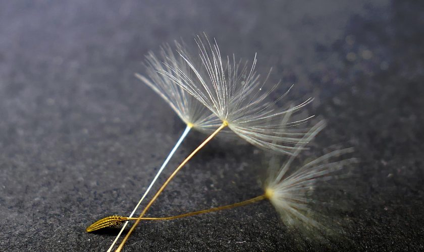 nature232