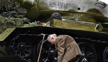 veteran