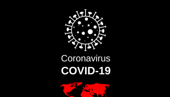 virus3252