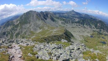 munte46445