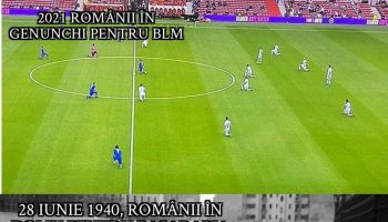 genunchi