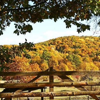 WhatsApp Image 2021-11-17 at 15.49.17