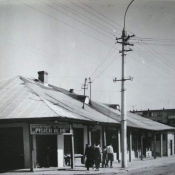 WhatsApp Image 2022-05-12 at 8.52.14 PM