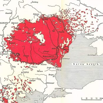 WhatsApp Image 2022-05-30 at 4.14.04 PM