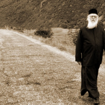 Captură de ecran 2022-06-21 002903