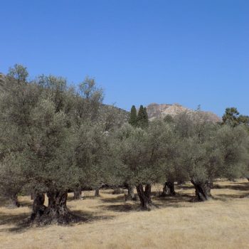 WhatsApp Image 2022-06-07 at 09.50.39 (1)