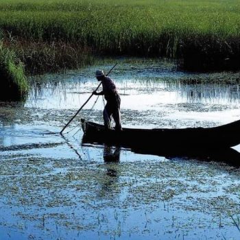 WhatsApp Image 2022-07-01 at 12.29.44