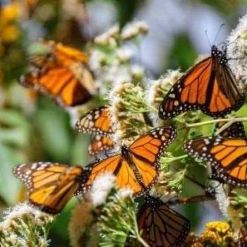 WhatsApp Image 2022-07-03 at 13.49.09