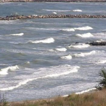 WhatsApp Image 2022-07-05 at 08.23.11