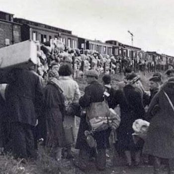 WhatsApp Image 2022-07-07 at 09.10.14