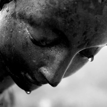 WhatsApp Image 2022-07-09 at 10.00.11