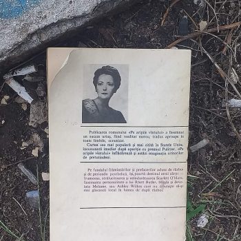 WhatsApp Image 2022-09-07 at 08.23.05