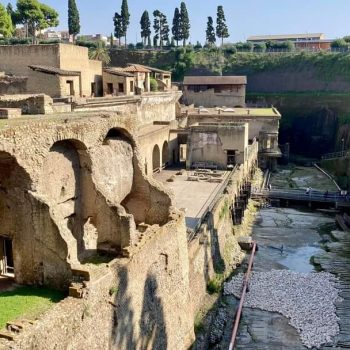 WhatsApp Image 2022-11-03 at 16.55.54