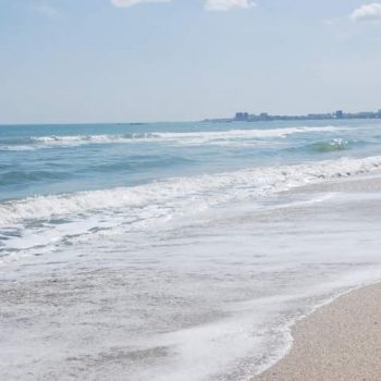 WhatsApp Image 2022-11-24 at 16.56.09