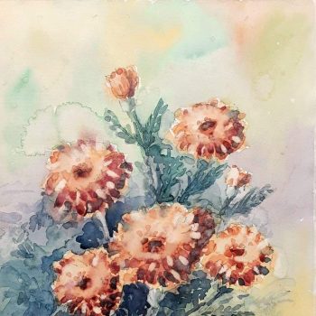 WhatsApp Image 2023-01-20 at 10.13.02