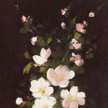 WhatsApp Image 2023-05-24 at 13.05.14