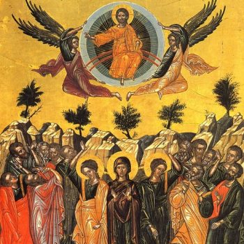 WhatsApp Image 2023-05-25 at 08.49.20