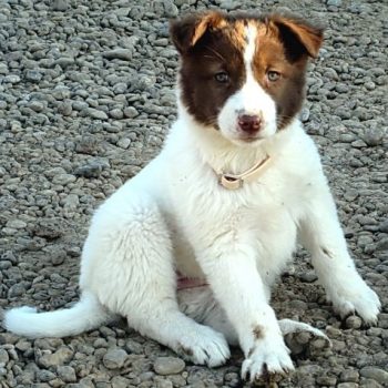 WhatsApp Image 2023-05-25 at 15.18.20