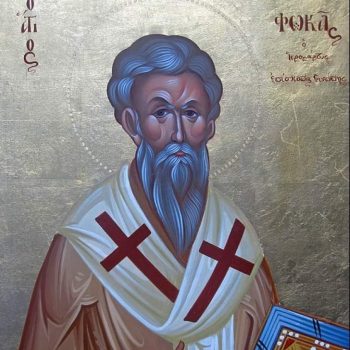 WhatsApp Image 2023-07-23 at 13.56.44