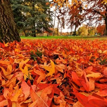 Imagine WhatsApp 2023-10-04 la 14.23.10