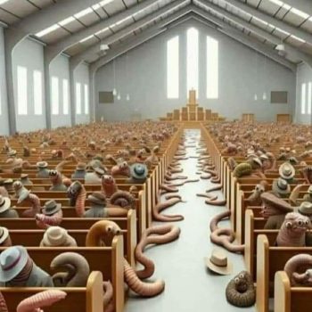 WhatsApp Image 2024-01-19 at 11.06.28