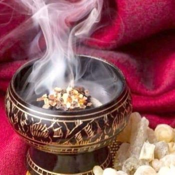 WhatsApp Image 2024-02-01 at 08.25.00