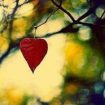 IMG-20261004-WA0004